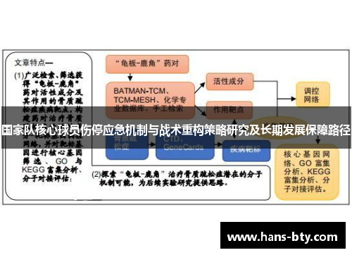 国家队核心球员伤停应急机制与战术重构策略研究及长期发展保障路径